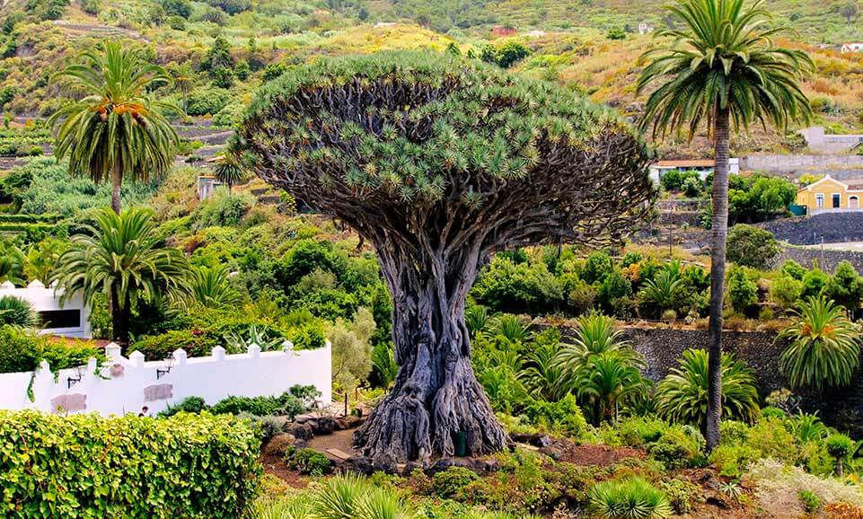 que ver en tenerife destinos stil hotels