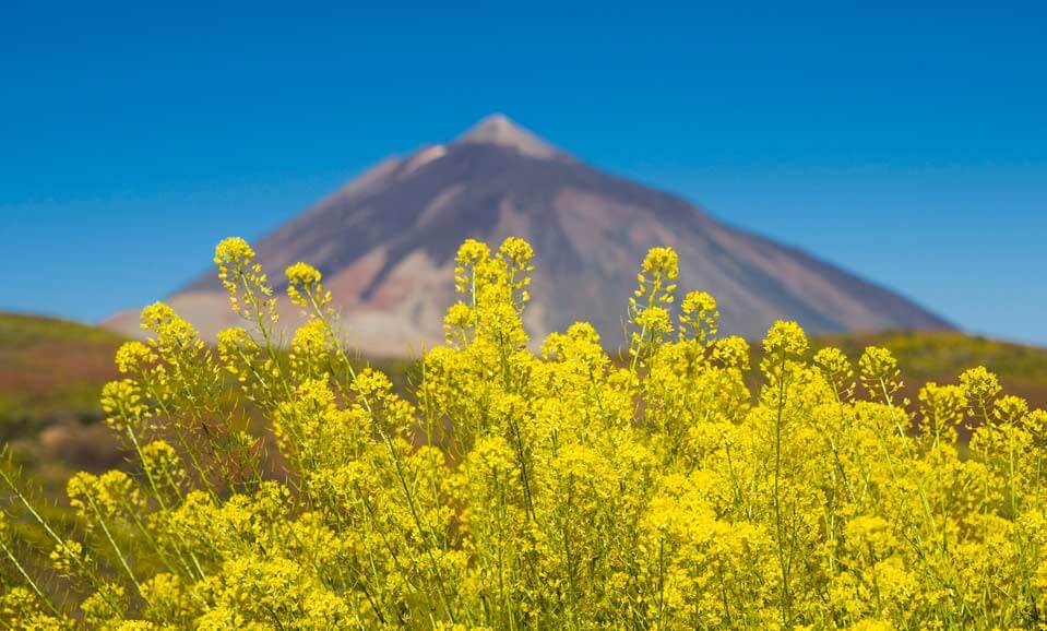 tenerife teide destino stil hotels